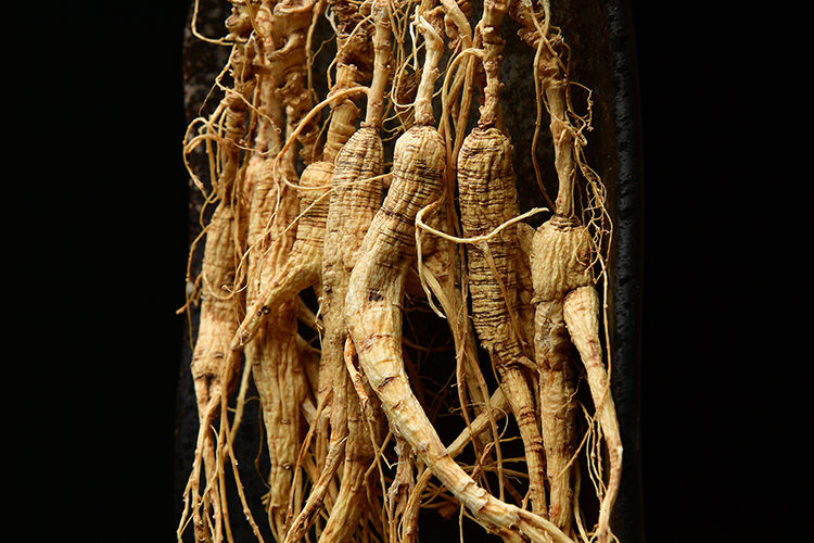 【20年野山参净重30克】长白山野山参干参纯野生人参 【精选礼盒装】