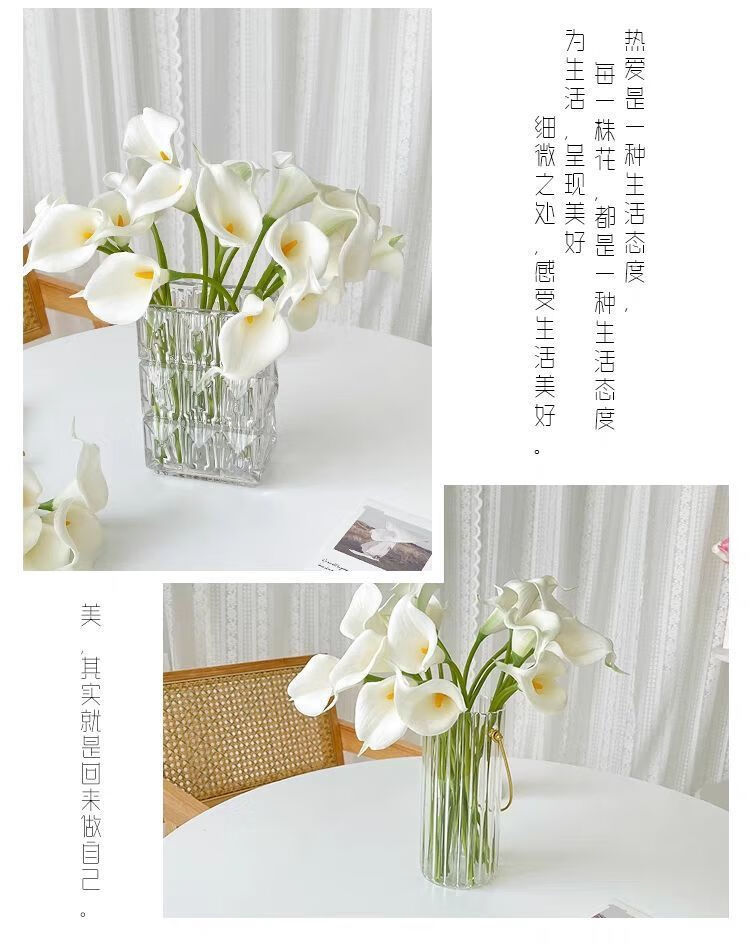 48181eab-2a7c-4be4-a3a7-01439f68fcb0.jpe