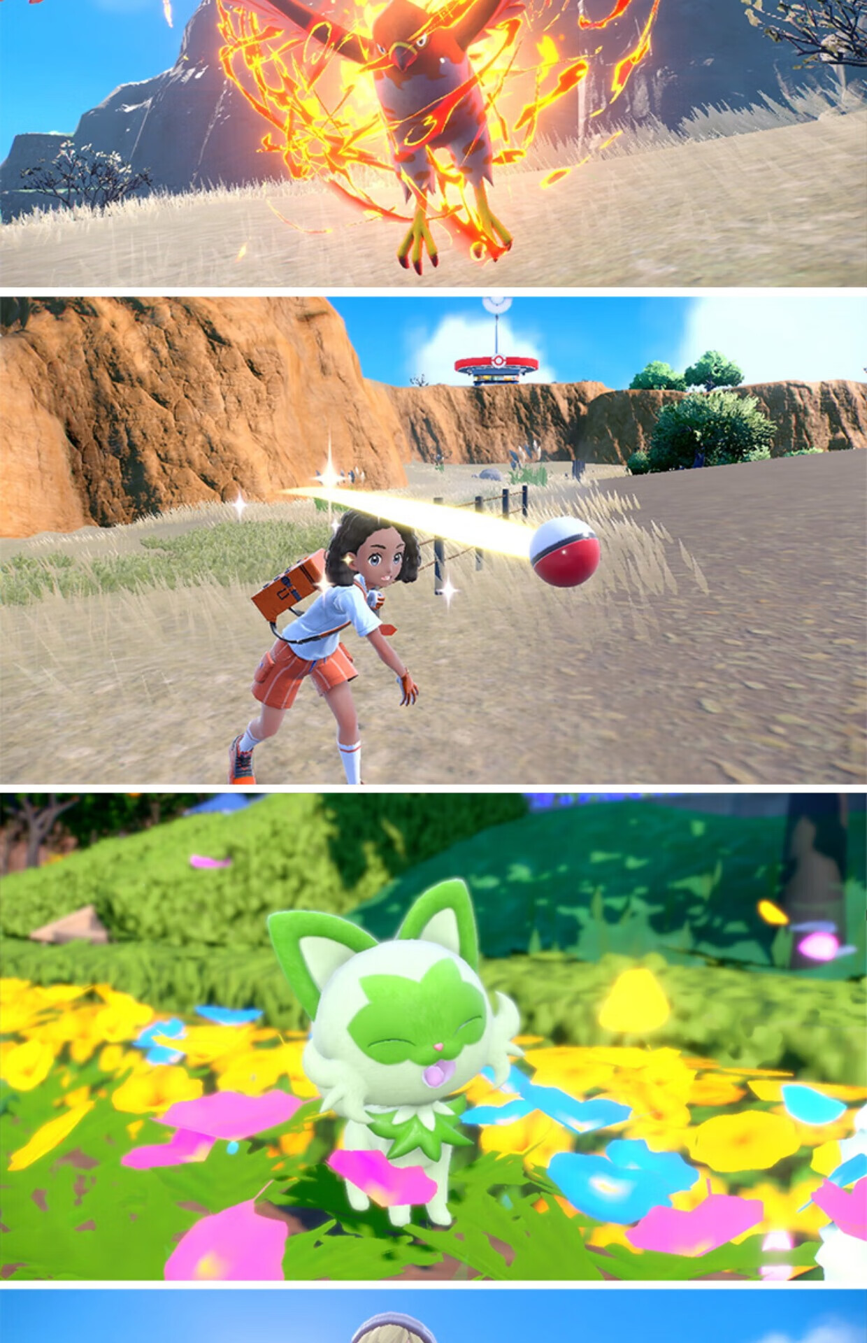 巴乔客switch ns游戏 宝可梦朱紫 口袋妖怪 朱紫 中文卡带 订购11月18