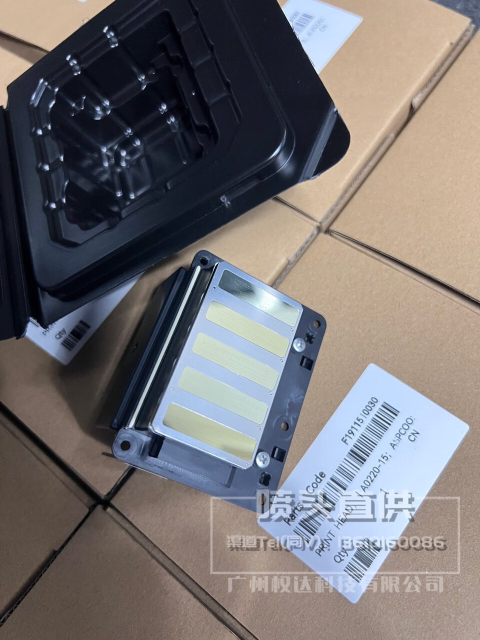cd818330610a1aa1.jpg