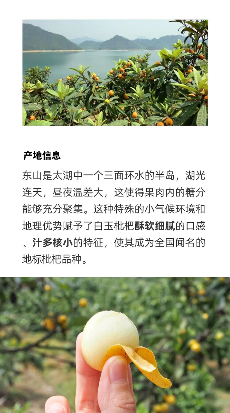 094723c622517c81.jpg