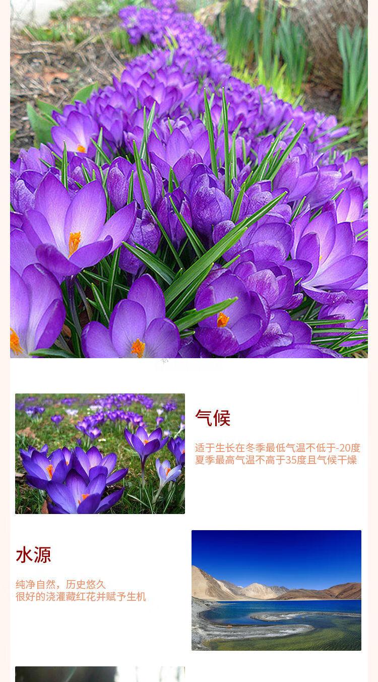 cb051e2d60adfdcc.jpg