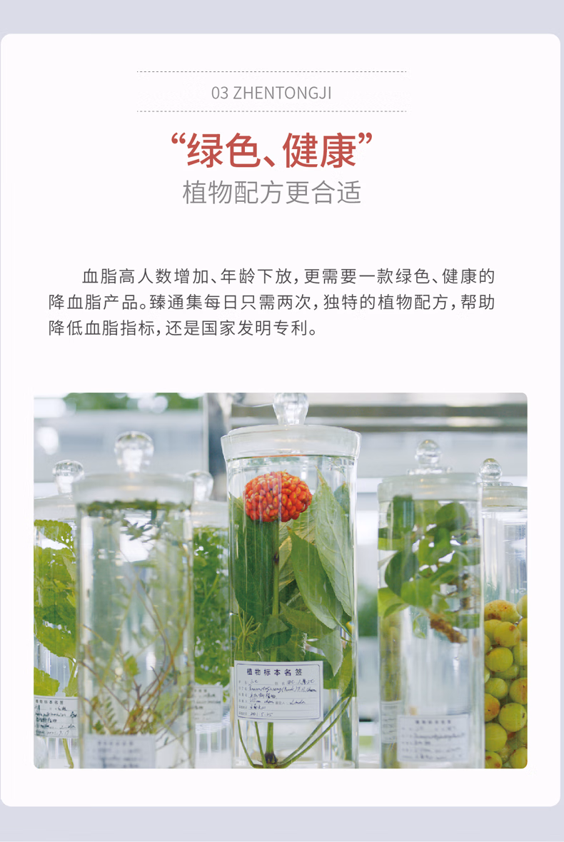 c419be1217ef0122.jpg.avif.avif