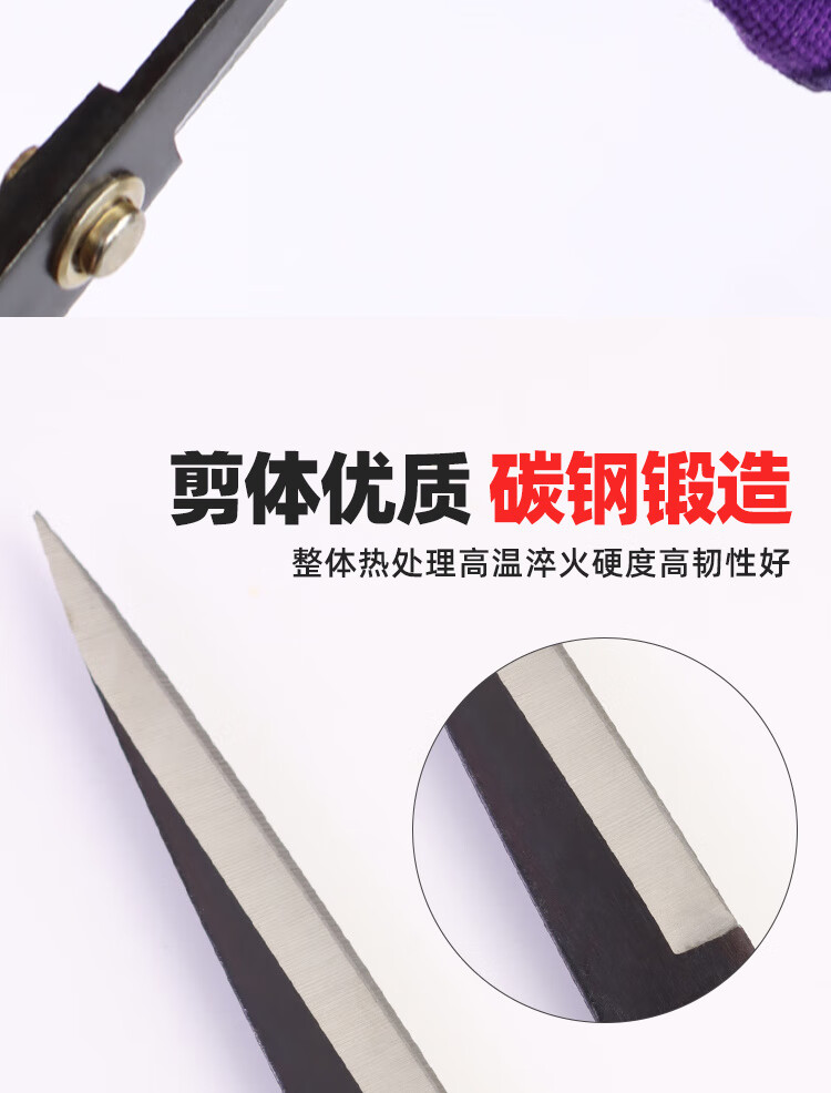 2163b01e-9450-47f1-812f-05879c3a57c5.jpe