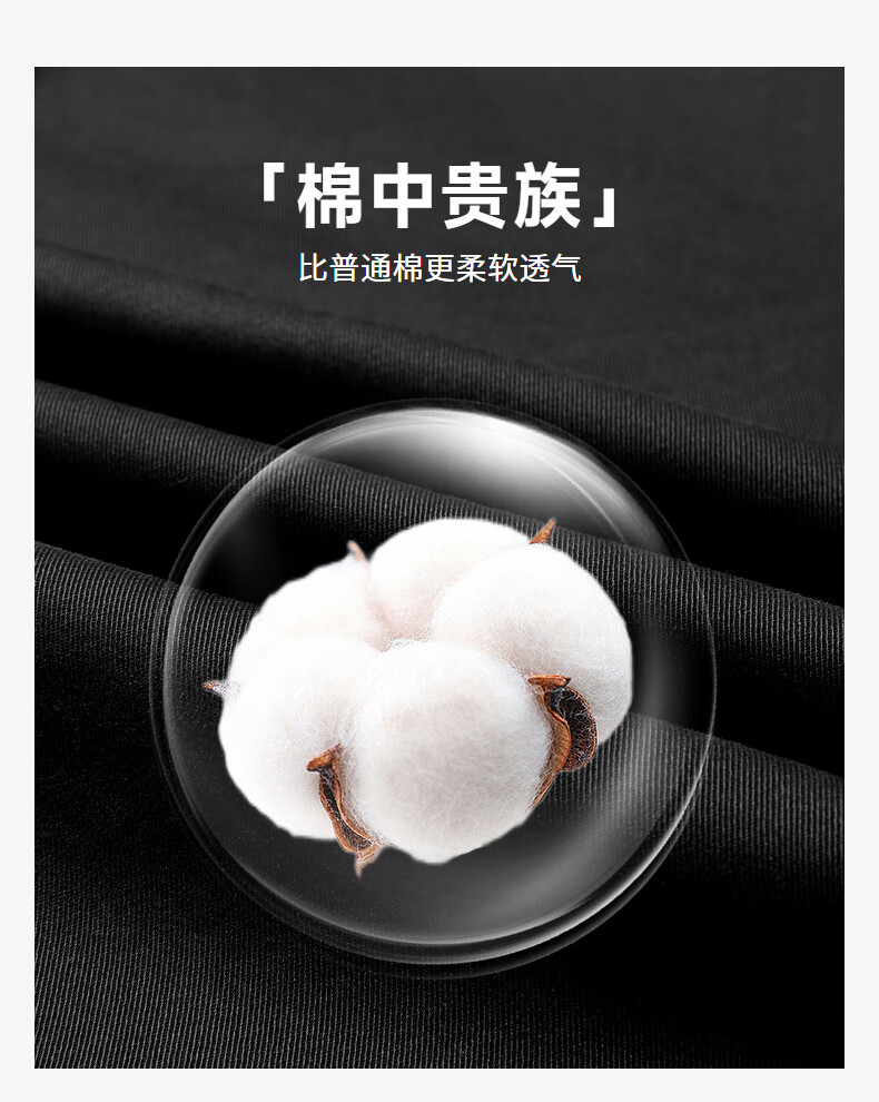 a439806517ec5efa.jpg