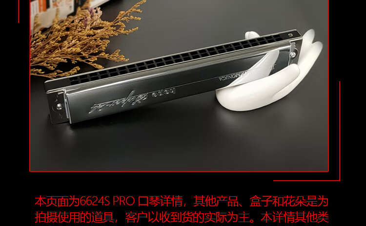 d12bac4072087477.jpg