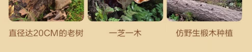 7d163da6b8fa8376.jpg