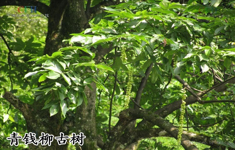 7f1b22d3350eb8ad.jpg