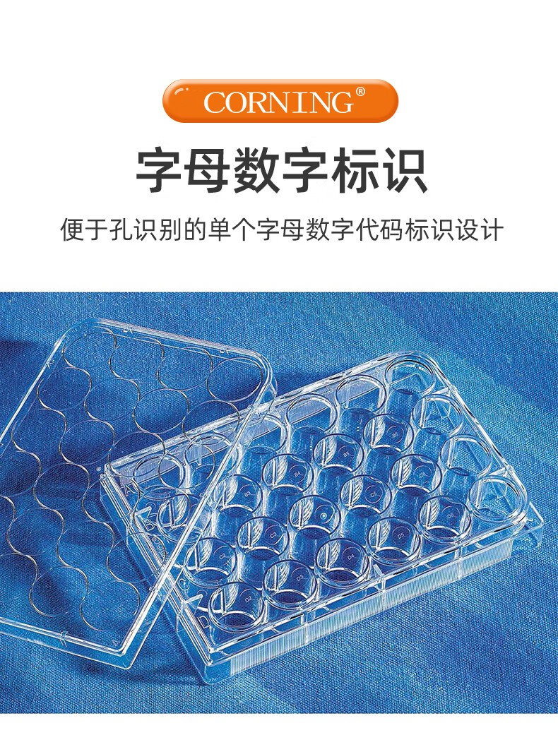 详情_13.jpg