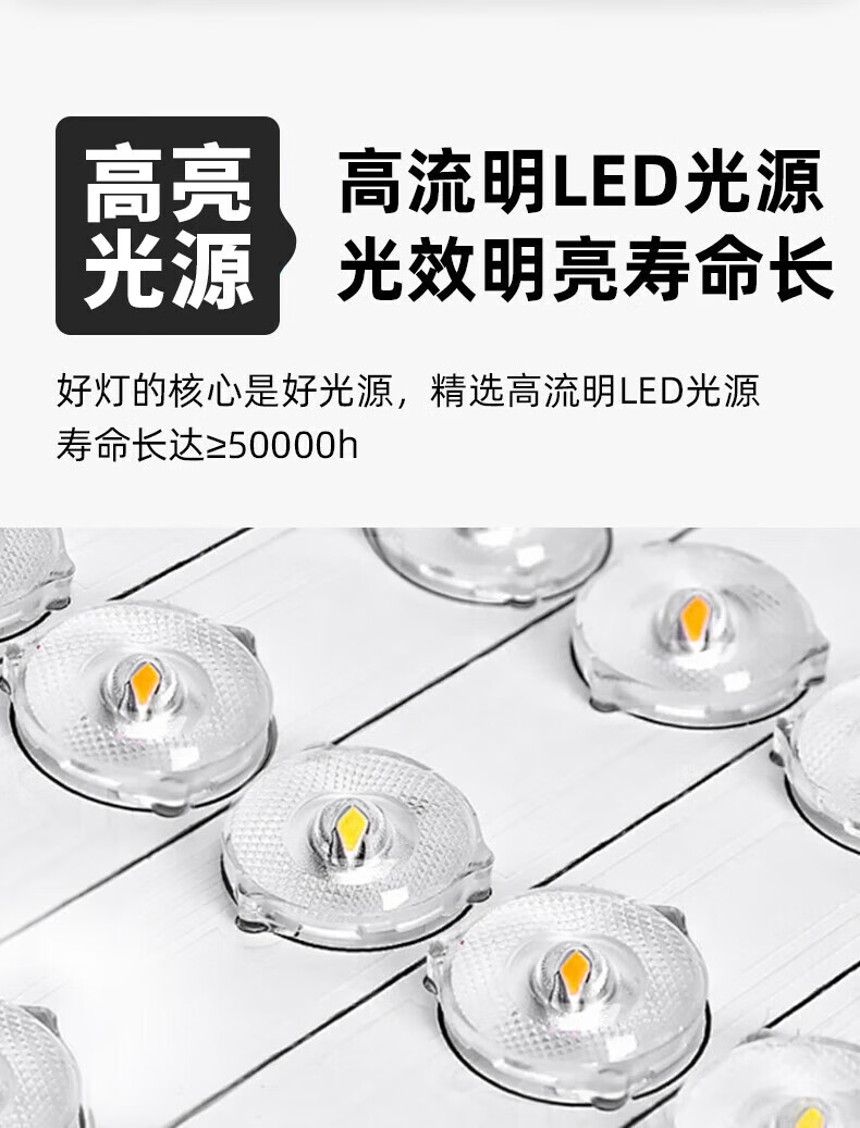 e2f03d7312fe8251.jpg