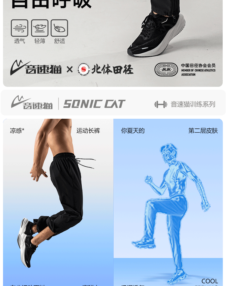 1a90d748e4ad577a.png
