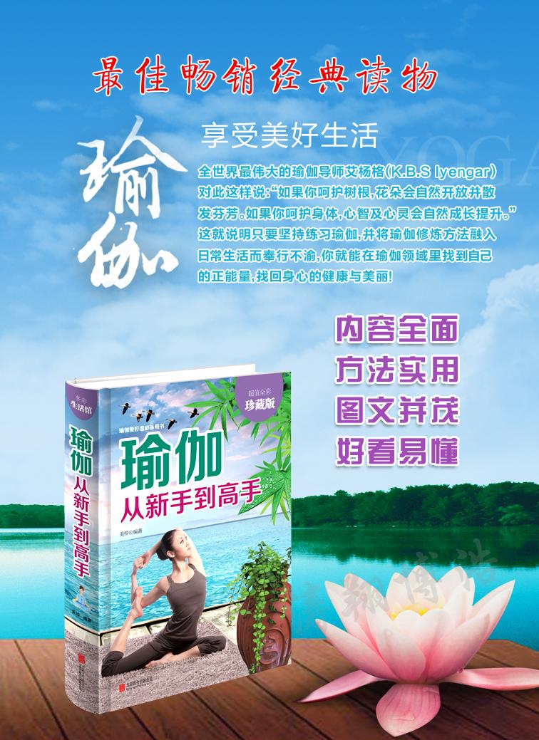 瑜伽从新手到高手 女性减肥美容塑体美体健身丰胸 瑜伽书籍教程零基础