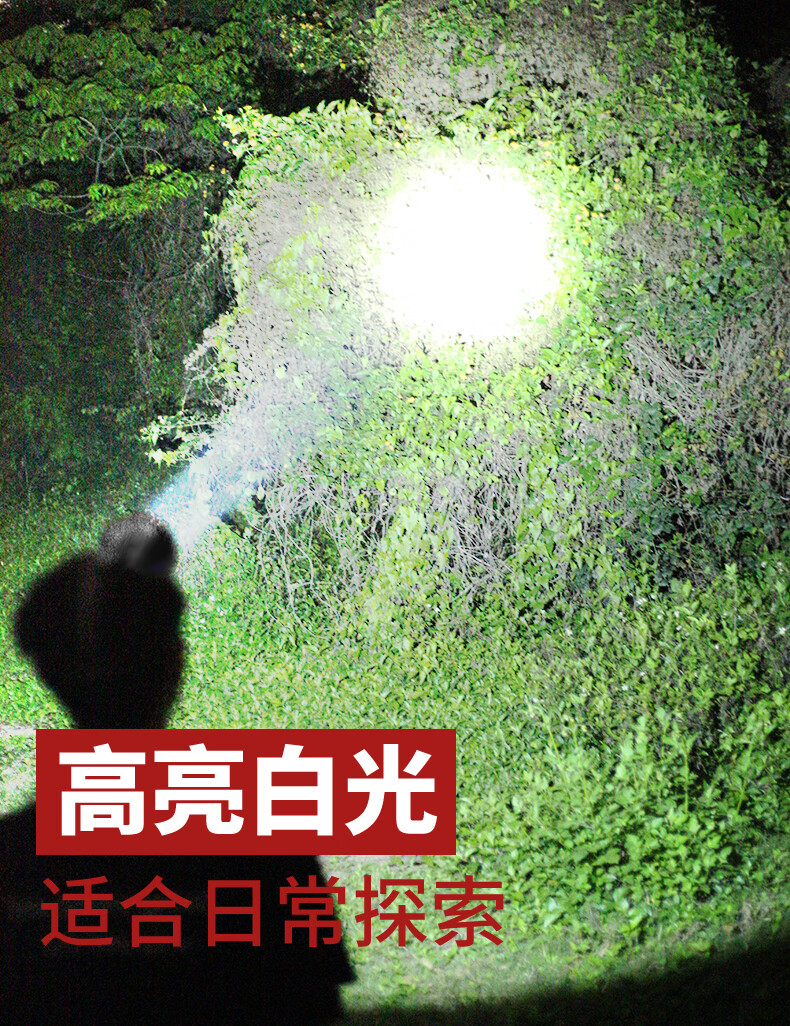 fe00a0442a02e6ca.jpg