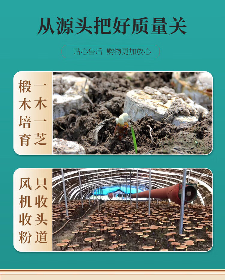 450cf3068aec9c74.jpg.avif