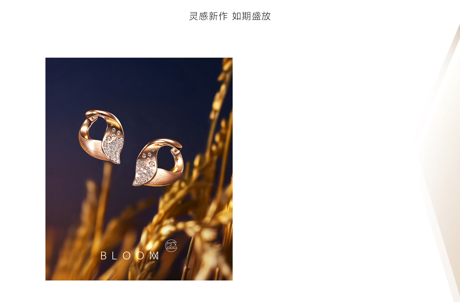 bloom_pc1_04-bg.jpg