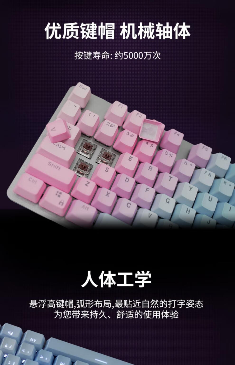 d3c15f52e0ed3724.jpg