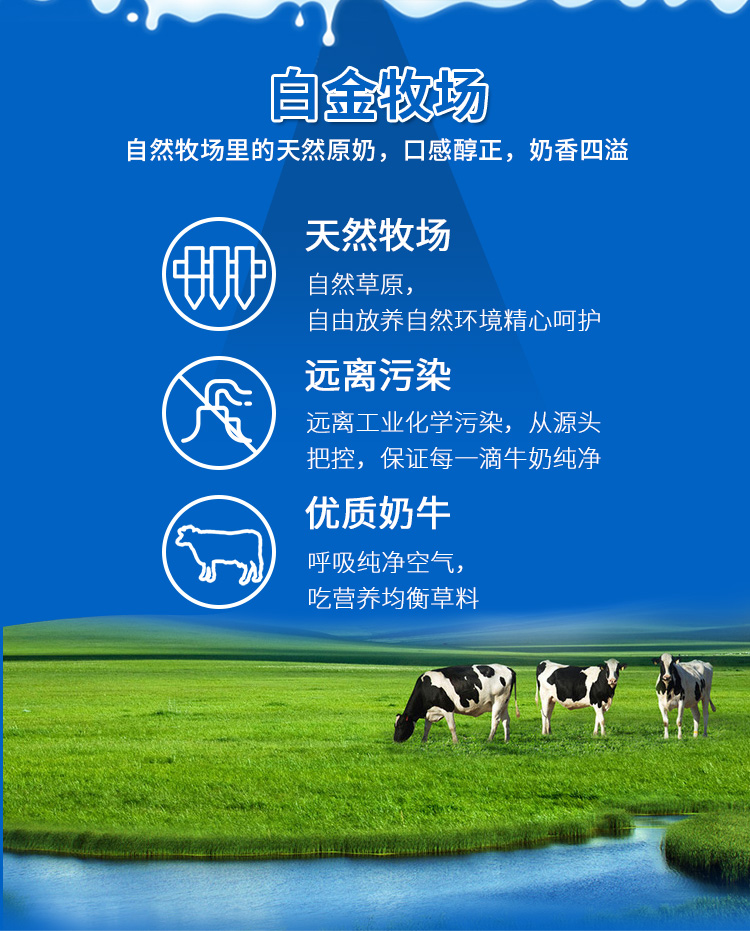 初元白金牧场中老年无糖坚果乳250ml 整箱成人牛奶复合蛋白饮 250ml*