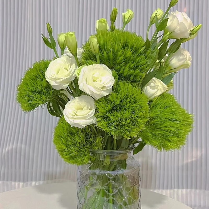 幽花花卉 绿毛球石竹清新水养斗南鲜花基地直发乒乓菊鲜切花全国速递