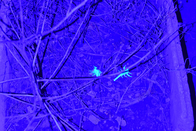 大功率t6强紫光抓蝎子捕蝎灯双光源紫外线固化手电筒验钞灯 q5强紫光