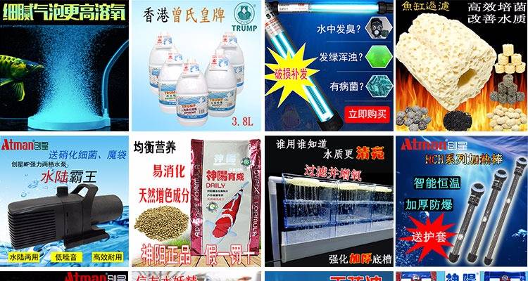 95ab68d3b83fc94f.jpg