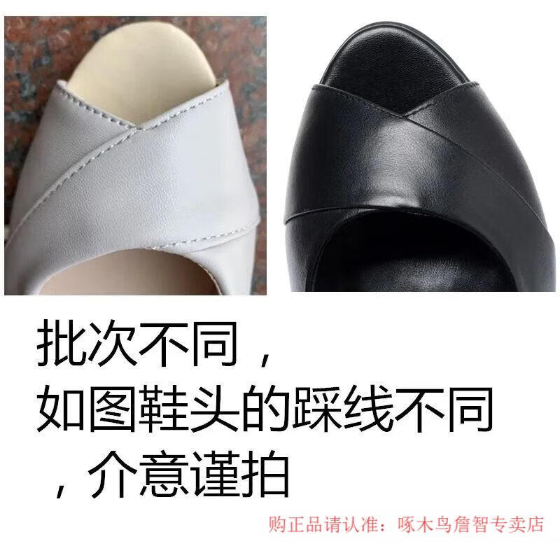 a0222341c6fedc3f.jpg