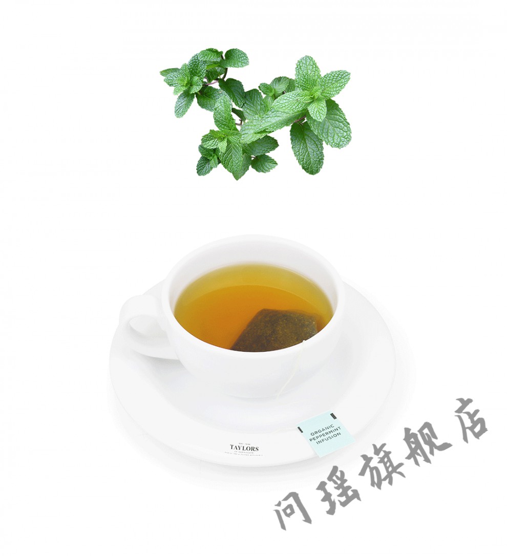 英国进口泰勒taylors 纯薄荷茶 食用清凉薄荷 冷泡花草茶茶包2g*20包
