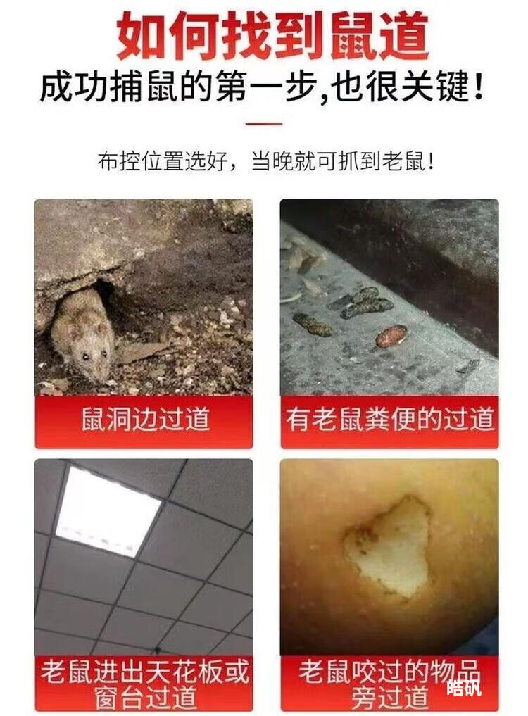 4a2b9b41aadefcb4.jpg