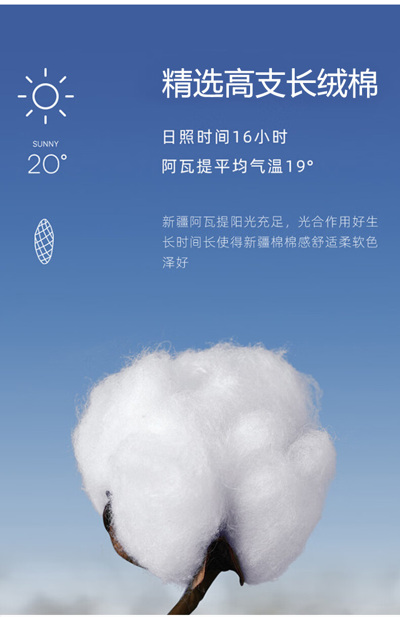 f8463ce80c92f1ee.jpg