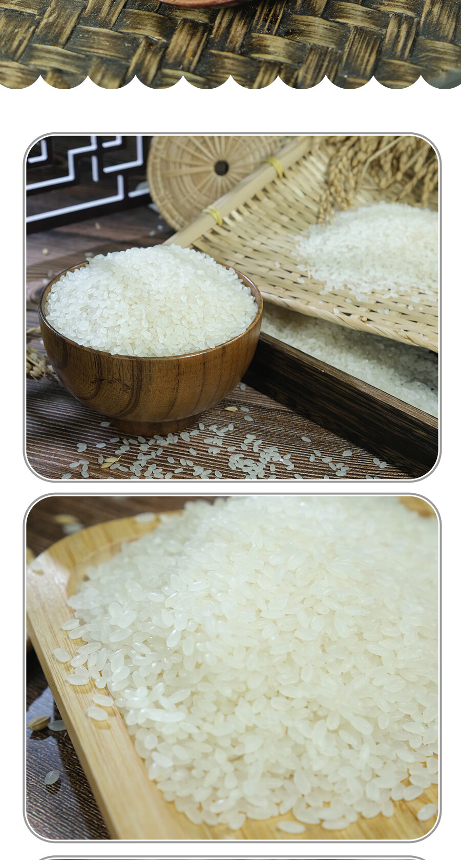 沈北七星大米沈阳辽星6号2021年现磨新米东北大米家庭装5kg10斤