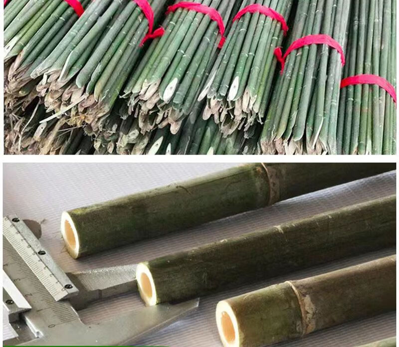 竹竿菜园搭架豆角黄瓜番茄爬藤架园艺竹子杆批发竹竿瓜果豇豆2米 超值