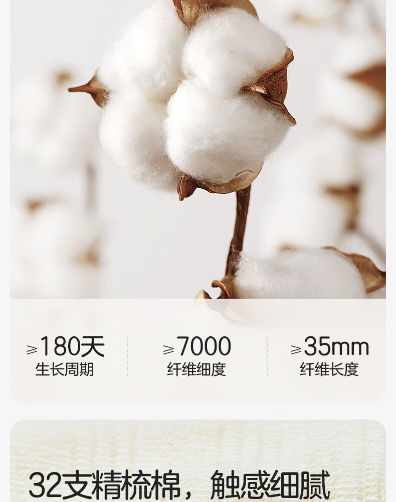 b50898bfced1a7af.jpg