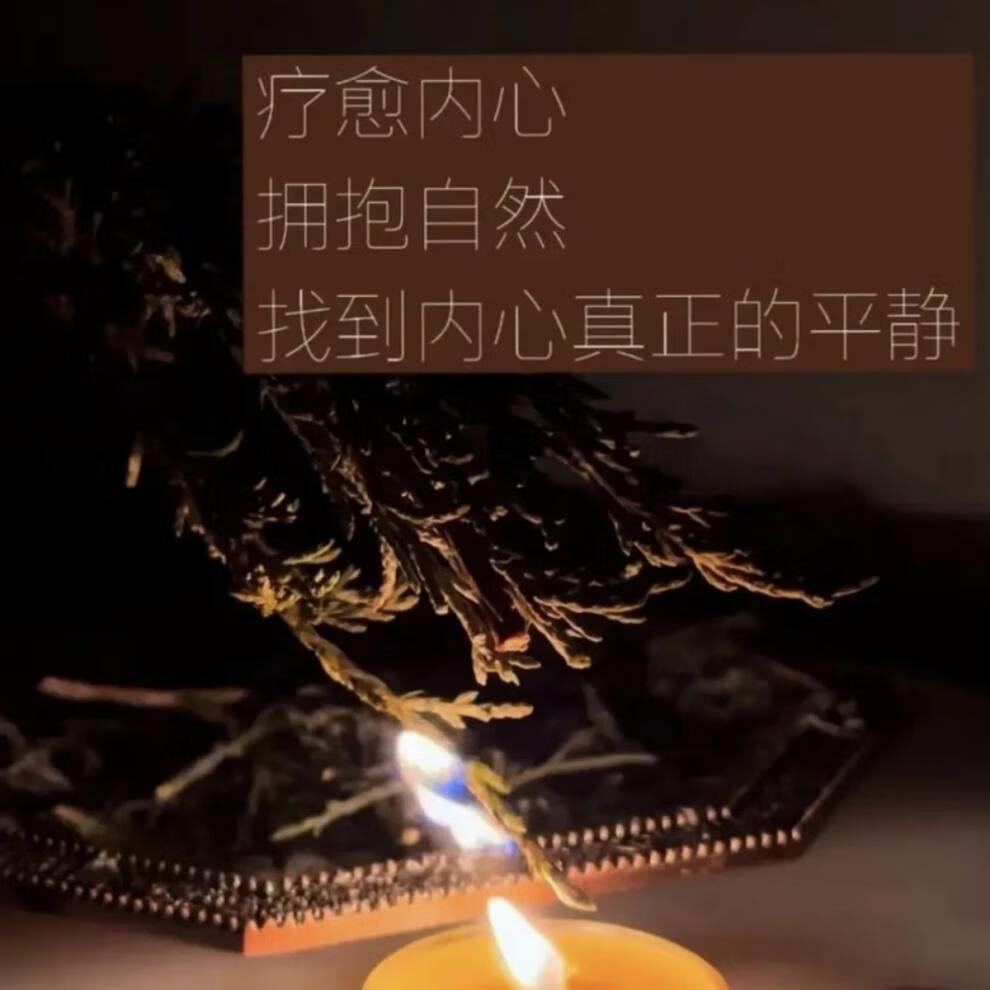 22e55eae82f0d892.jpg