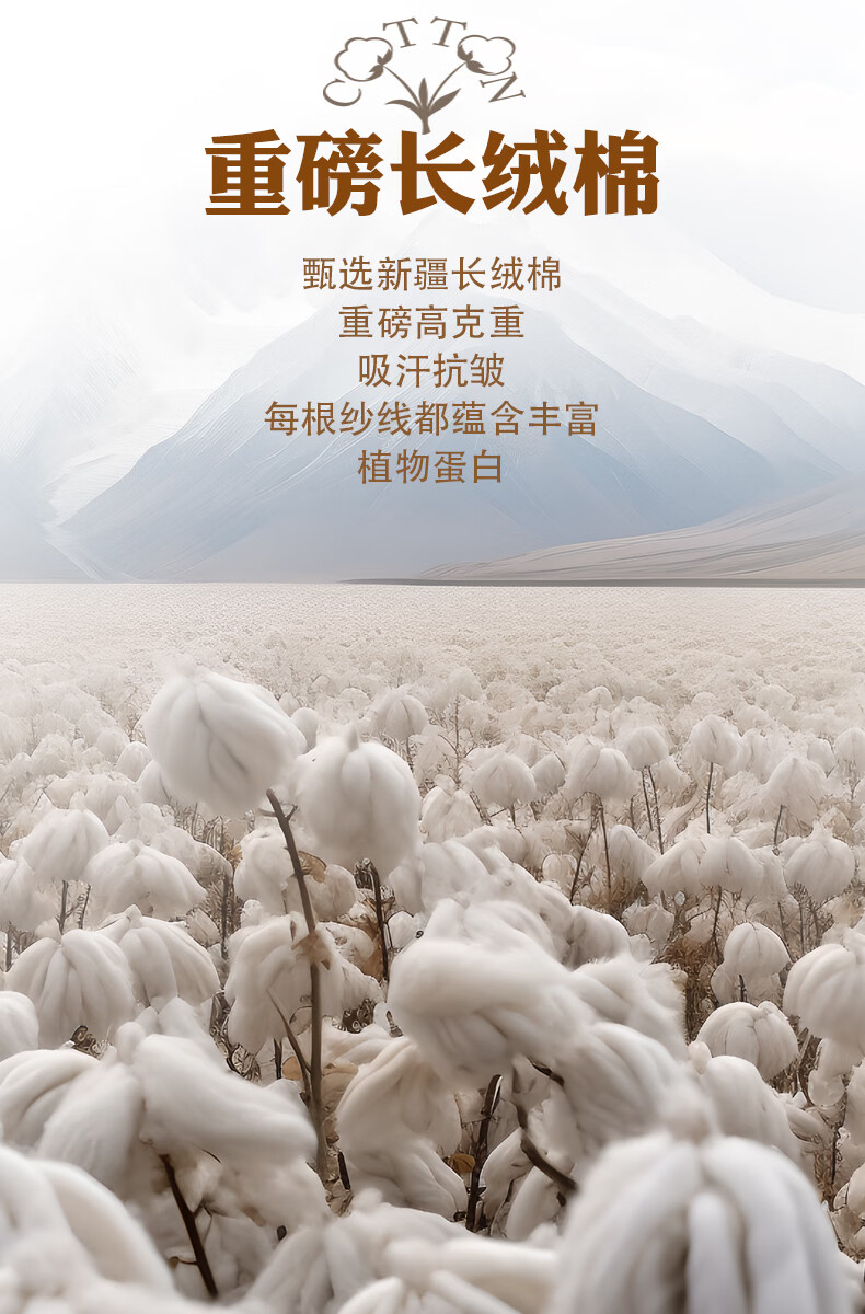 9dd1bc823573f481.jpg
