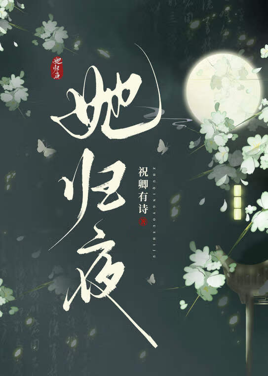她归夜 封面