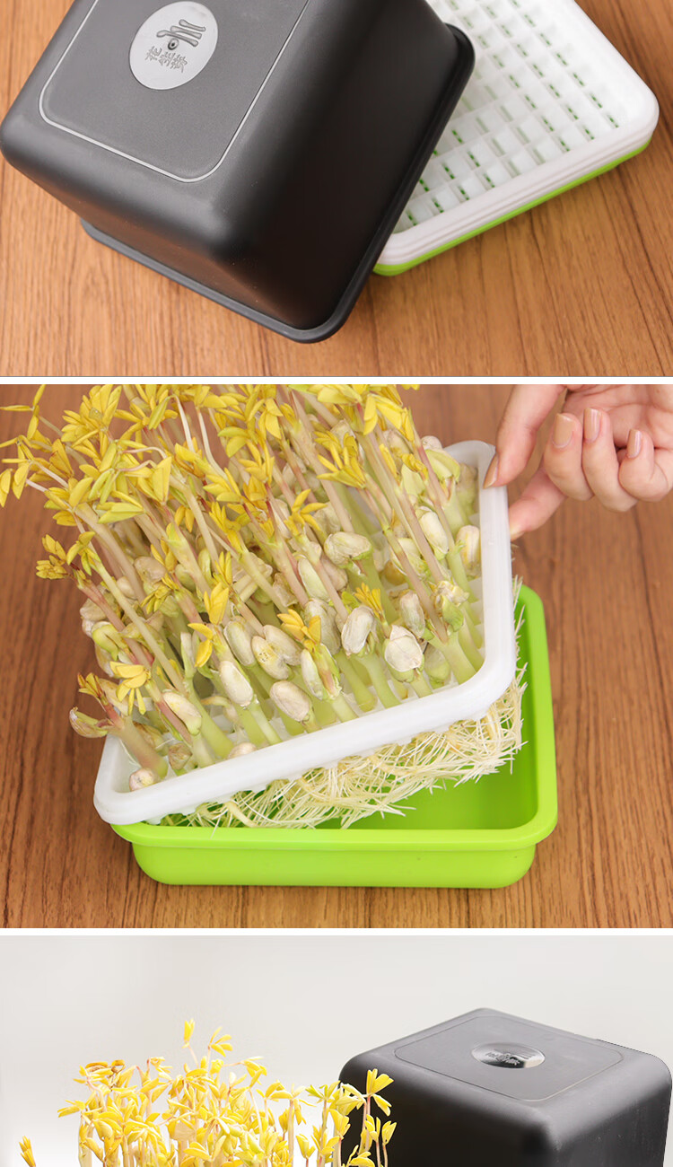实验种豆芽培育舱 豆芽发芽盆育苗盘芽苗菜水培盒发花生豆芽专用盆无