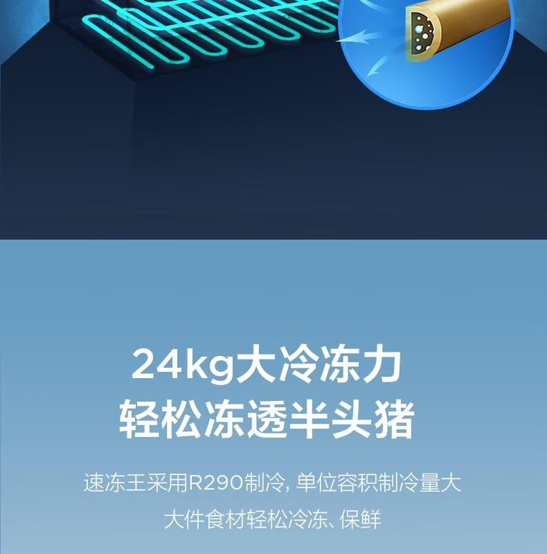 57802ac6618e955a.jpg