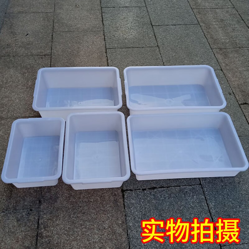 053fa092e2227bed.jpg