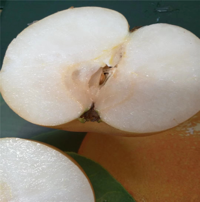 顺丰羊脂秋月梨脆甜冰糖梨子新鲜当季水果5斤89个实惠中果口感偏软