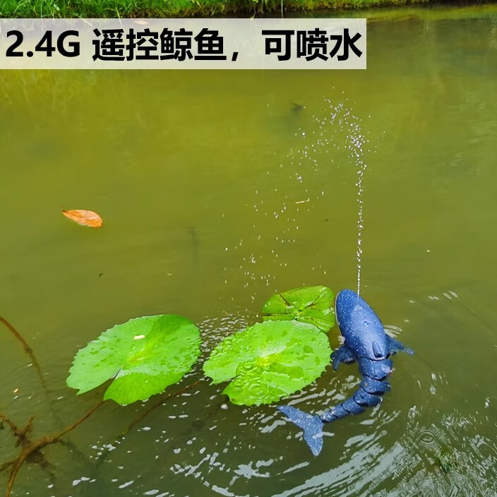 0d07b5c78f8d138a.jpg