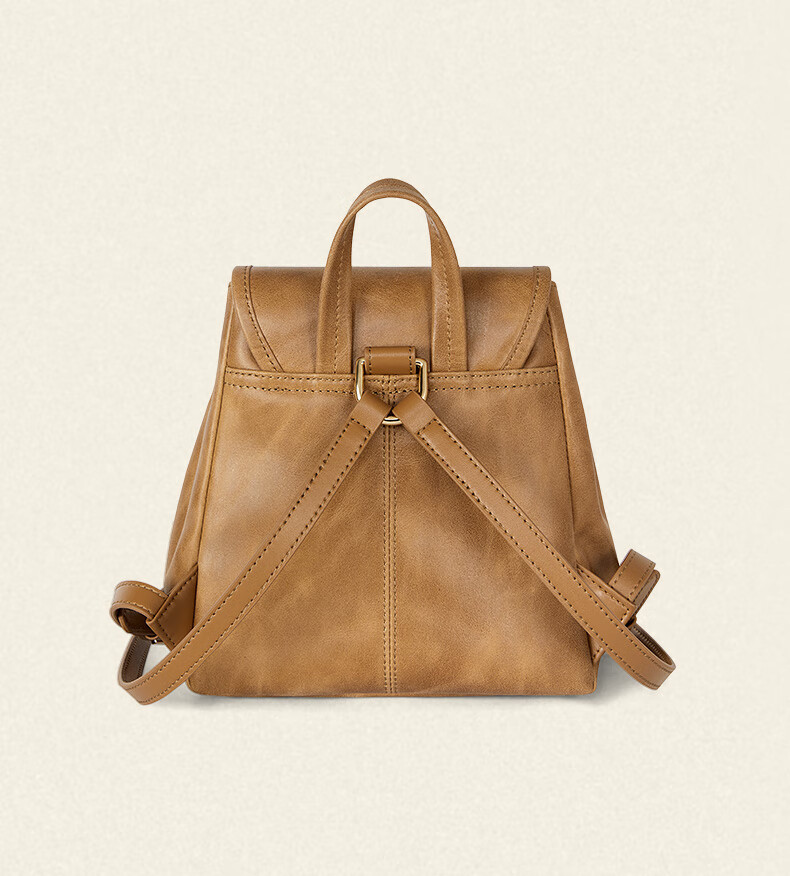 CASSILE Women's Handbag Backpack, Genuine Leather Commuter Tote Bag, 520 Gift 18