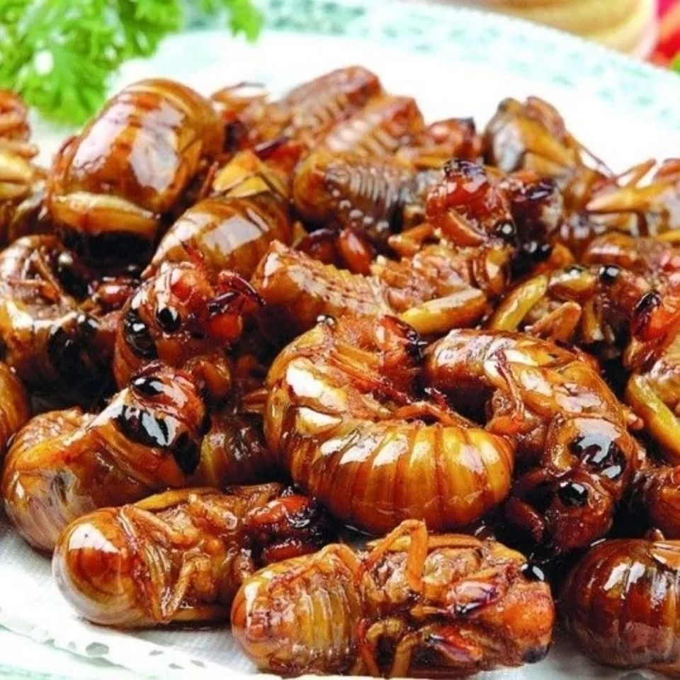 油炸知了猴山东特产爬叉猴金蝉即食食品唐僧肉节流鬼昆虫即食 油炸香