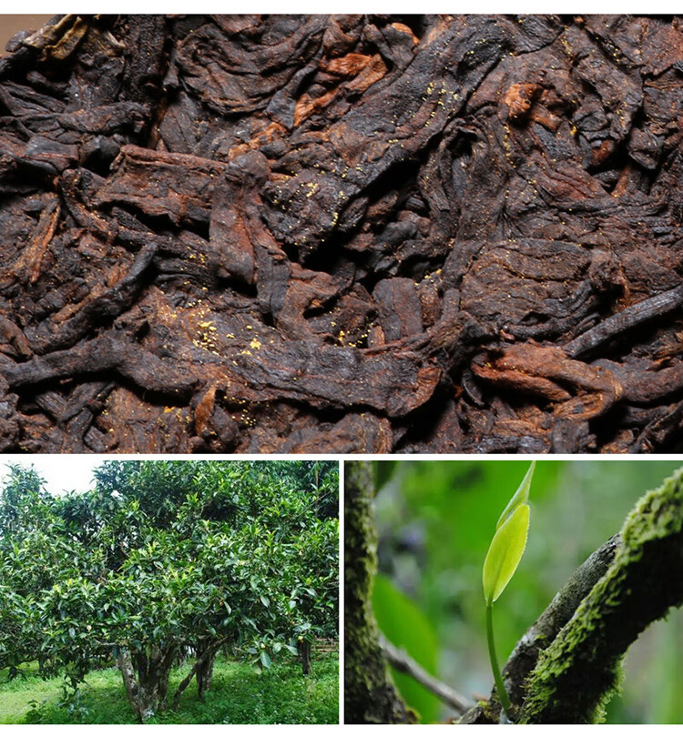 金花熟茶砖【图片 价格 品牌 报价-京东