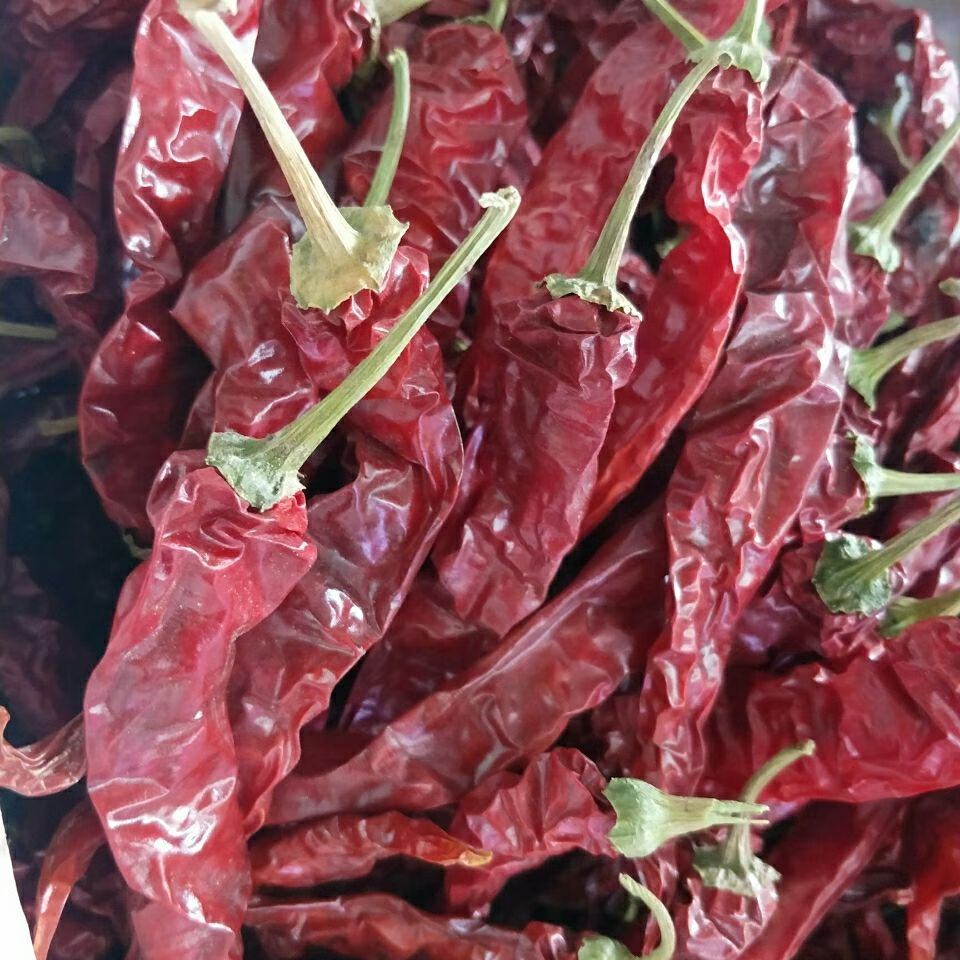 5折 东北红辣椒 250g-2500g 东北干辣椒 农家特产红干椒 农村风味