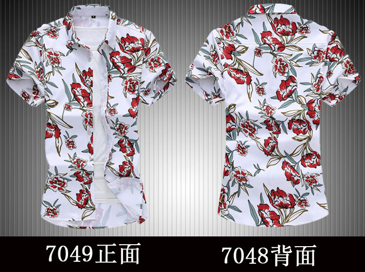 c841ee33667e5b85.jpg