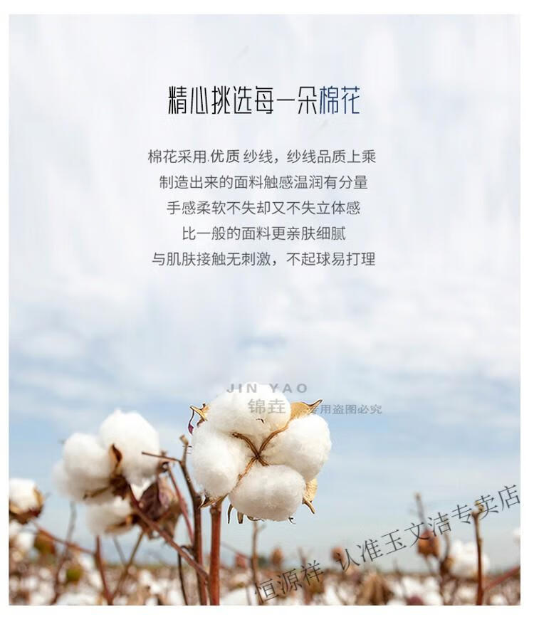 1be48fa5329e184c.jpg