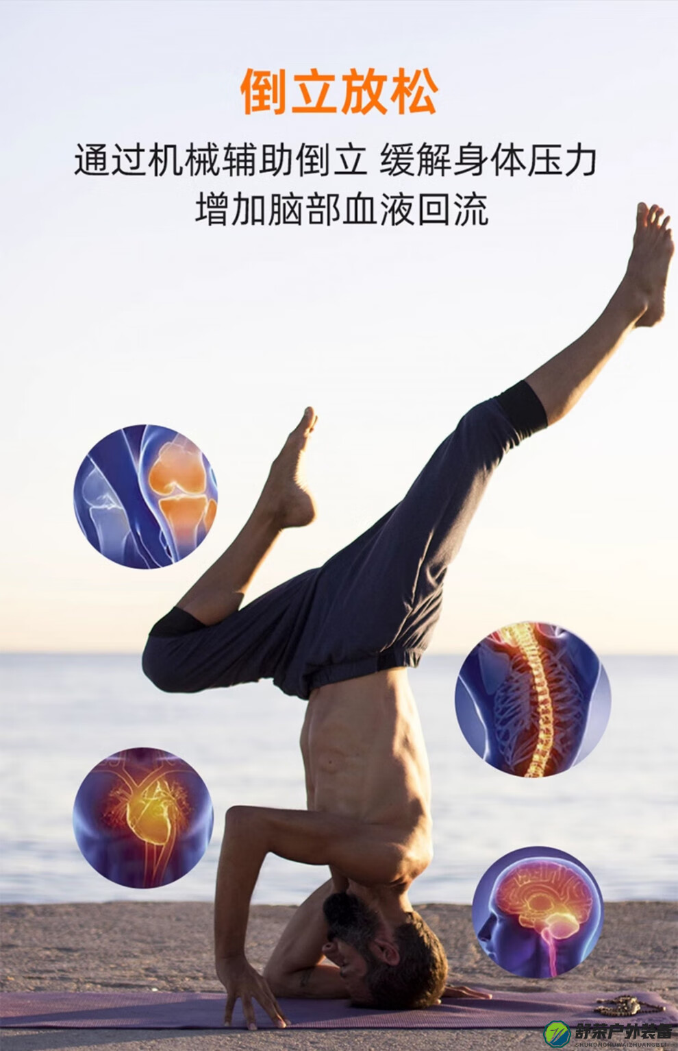 b335b96a57379e4a.jpg