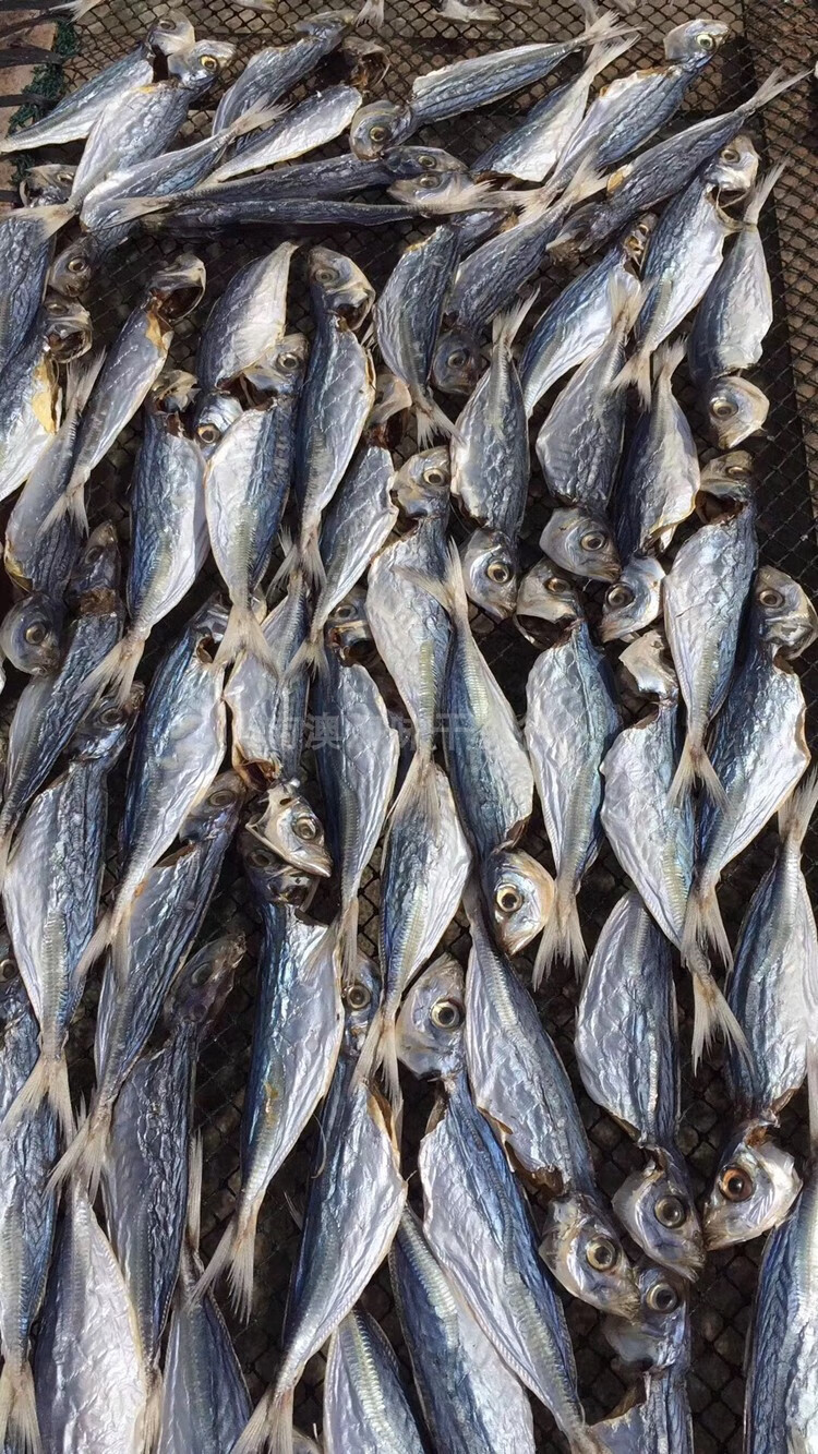 南澳特产巴浪鱼干咸鱼干池鱼干池仔海鱼干海鲜水产干货500g 250g/半斤