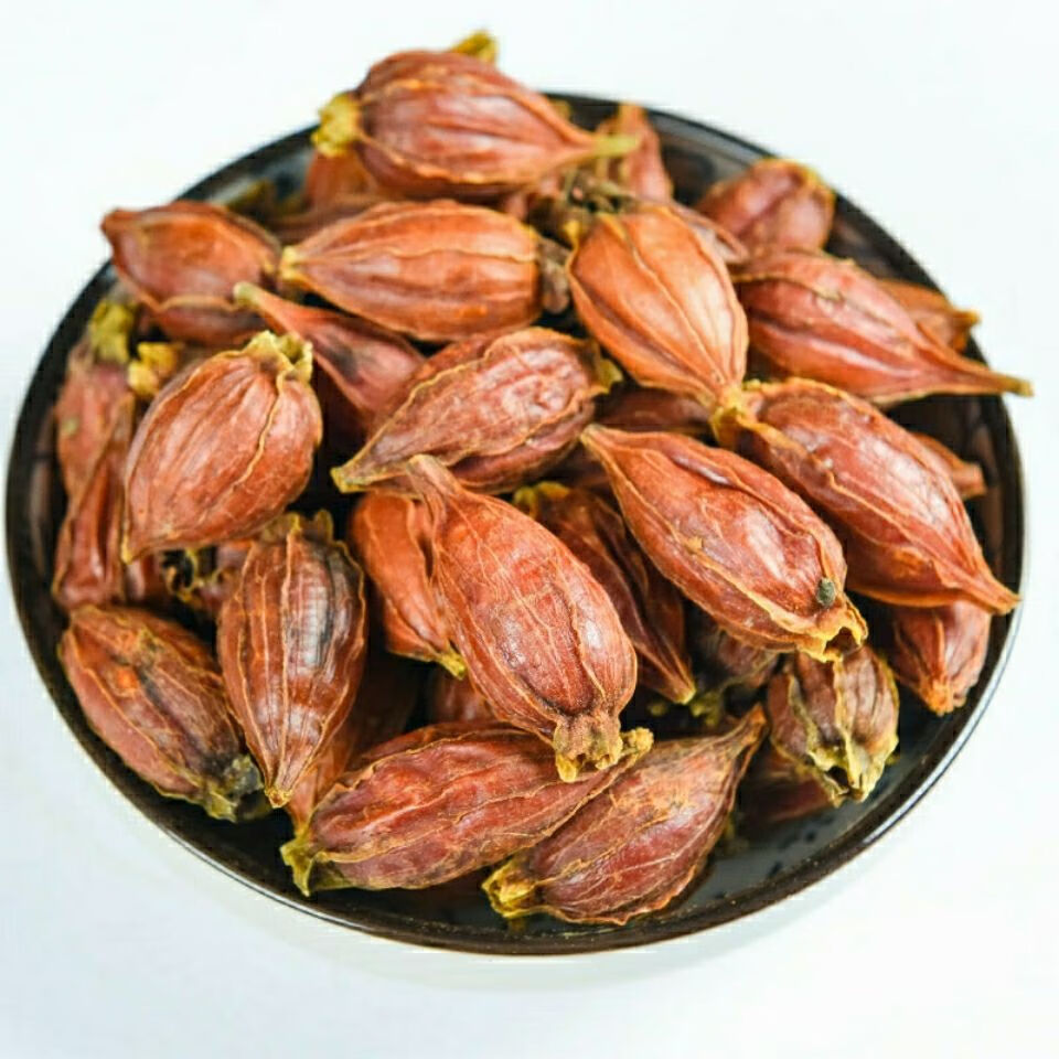 中药材山枝子山栀子红小栀子果栀子茶新鲜黄栀子干茶泡茶 山枝子100克