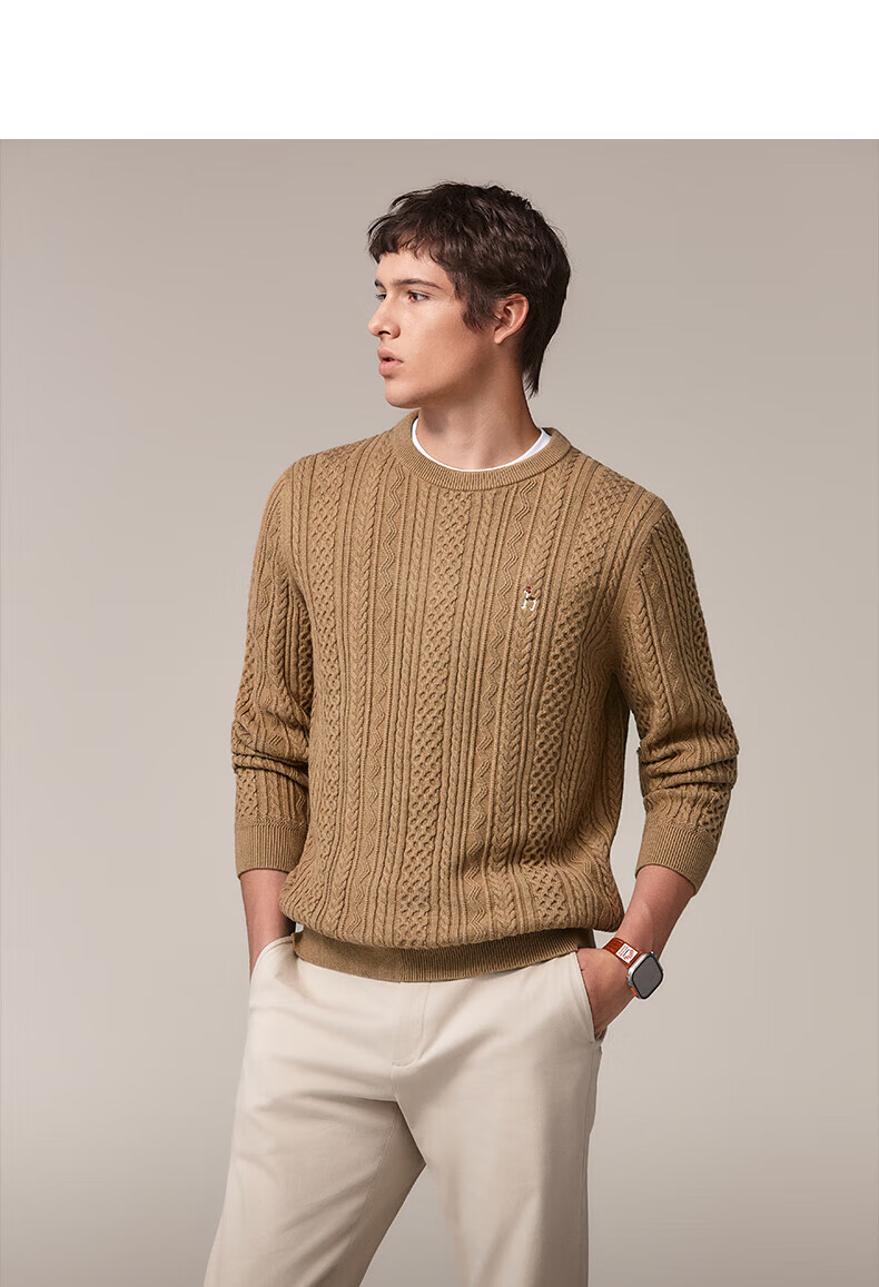 HAZZYS Men's Autumn Winter Casual Cable Knit Crew Neck Cotton/Wool Blend Sweater ABYZD0CCX30 17