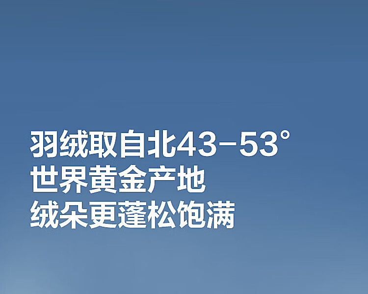 3ec2d19d25cba652.jpg
